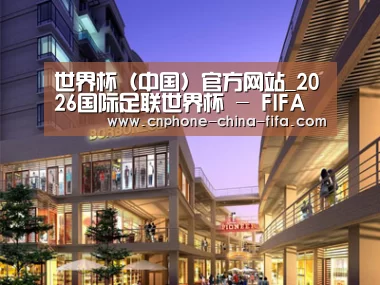 案例展示一(图1)