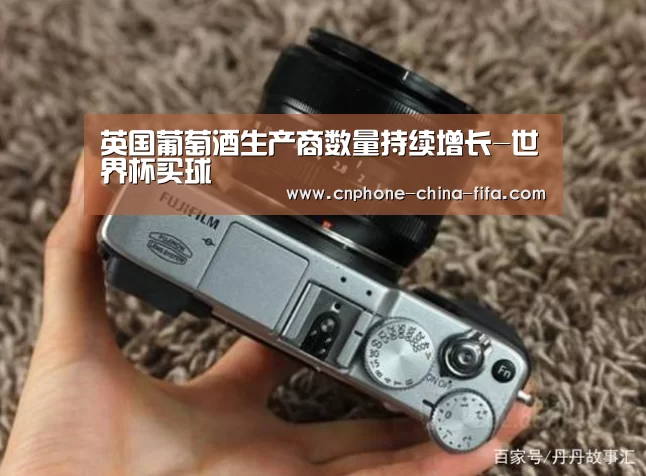 世界杯买球