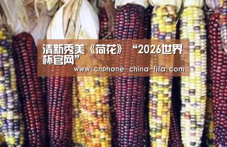 清新秀美《荷花》“2026世界杯官网”(图1) 2026世界杯官网
