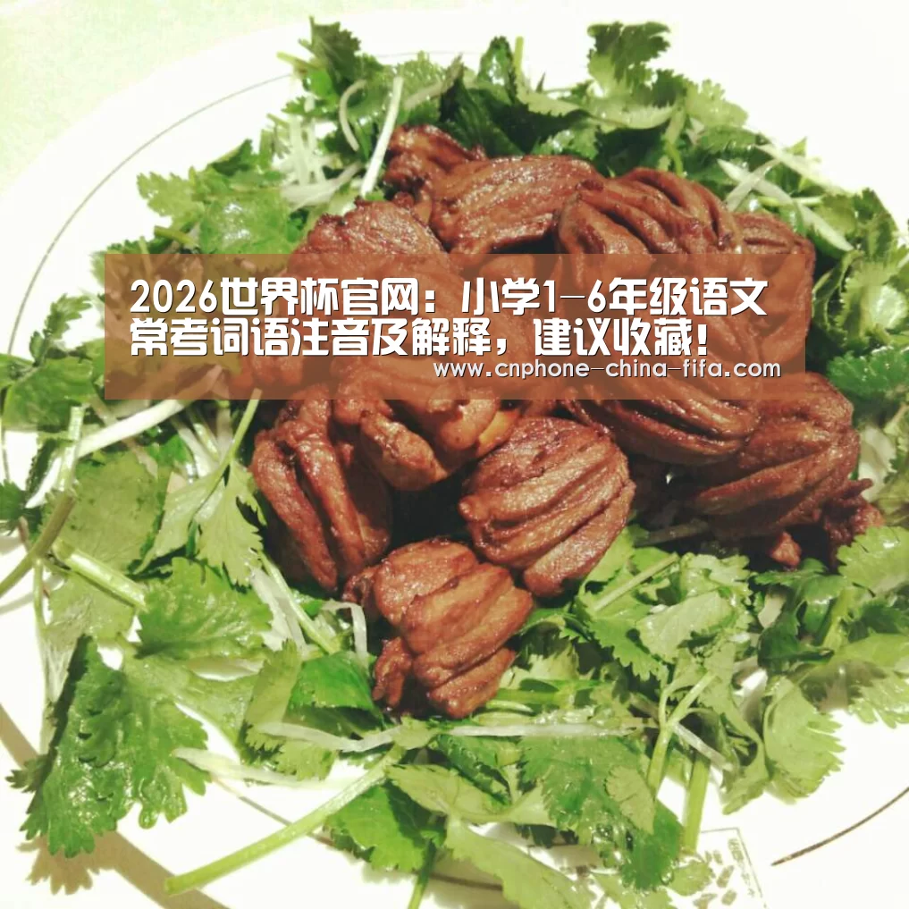 2026世界杯官网