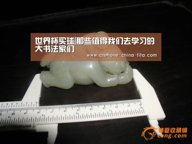 2026世界杯官网
