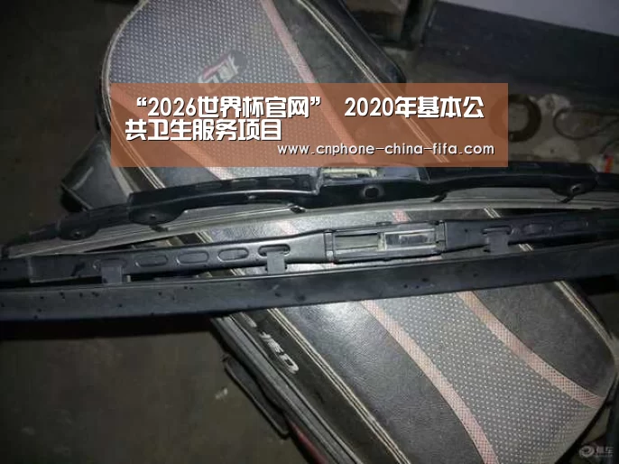 “2026世界杯官网”
2020年基本公共卫生服务项目(图3) 世界杯买球