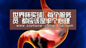 2026世界杯官网